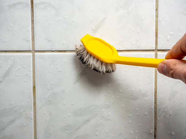  Bernardsville, NJ Mold Removal Pros