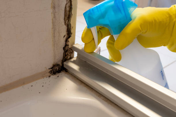 Water Damage Restoration in Bernardsville, NJ