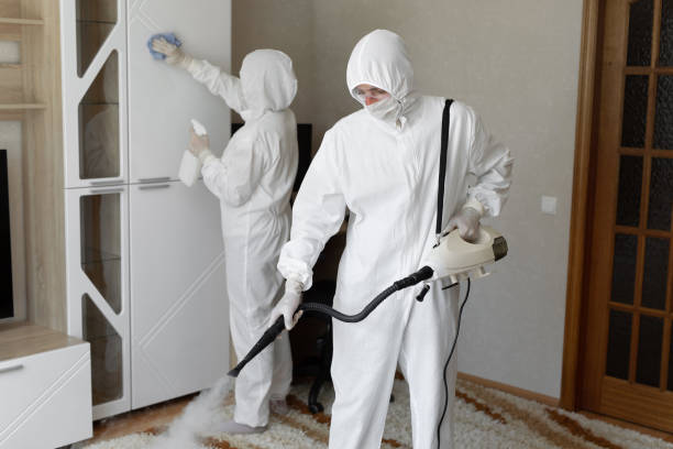 Best Residential Mold Removal  in Bernardsville, NJ