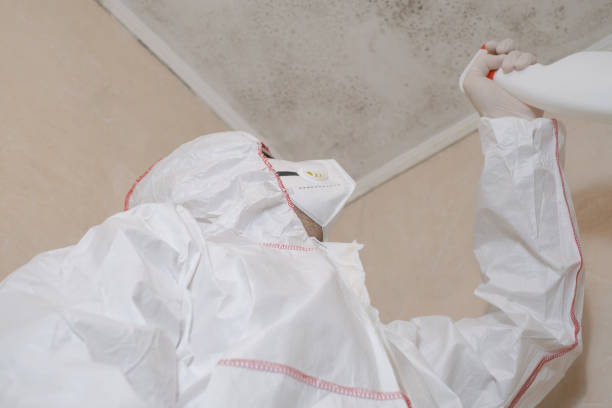 Best Mold Testing  in Bernardsville, NJ